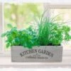 Kitchen Herb Garden Kit -Ever Bloom Gardens pl2000023930