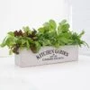 Kitchen Salad Garden Kit -Ever Bloom Gardens pl2000023931