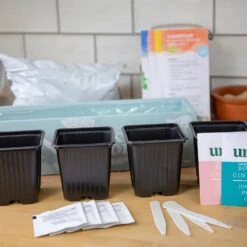 Gin Cocktail Herb Garden Kit -Ever Bloom Gardens pl2000023959 card4 lg