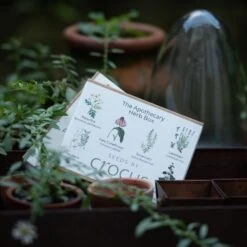 Apothecary Herbs Seed Gift Box -Ever Bloom Gardens pl2000024987 card3 lg