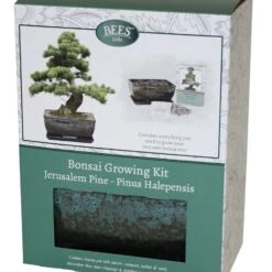 Bonsai Pine - Seed Growing Kit