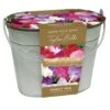 Sweet Peas In A Gift Bucket -Ever Bloom Gardens pl2000040137