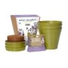 Mini Meadow Seedballs And 3 Bamboo Pots & Saucers -Ever Bloom Gardens pl2000040778