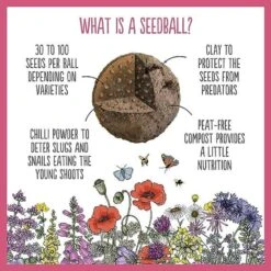 Seedballs Wildlife Collection -Ever Bloom Gardens pl2000043179 card2 lg