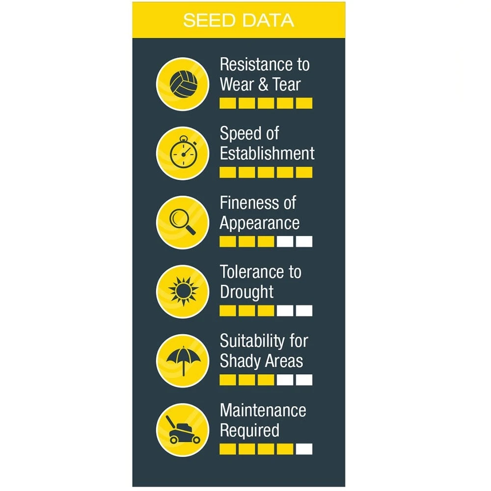 Johnsons After Moss Lawn Seed 4 Johnsons After Moss Lawn Seed - Image 2