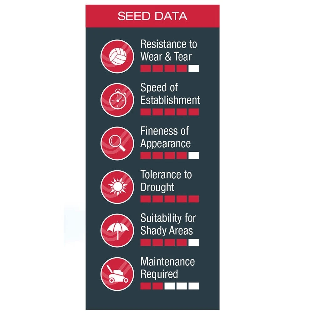 Johnsons Quick Lawn Seed 4 Johnsons Quick Lawn Seed - Image 2