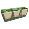 Ceramic Windowsill Herb Gift Set -Ever Bloom Gardens pl2000045606