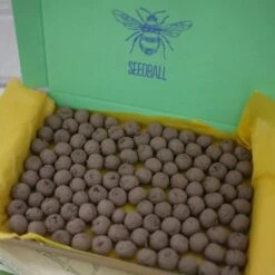 Seedballs Native Wildflowers For Wildlife -Ever Bloom Gardens pl2000048352 card7 lg