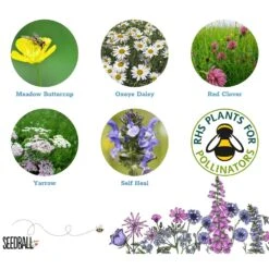 Seedballs Bee Matchboxes -Ever Bloom Gardens pl2000048431 card3 lg