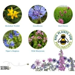Seedballs Bee Matchboxes -Ever Bloom Gardens pl2000048431 card4 lg