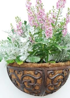 Cast Iron Wall Manger 7 Cast Iron Wall Manger -Ever Bloom Gardens pr2000004969 card3 lg