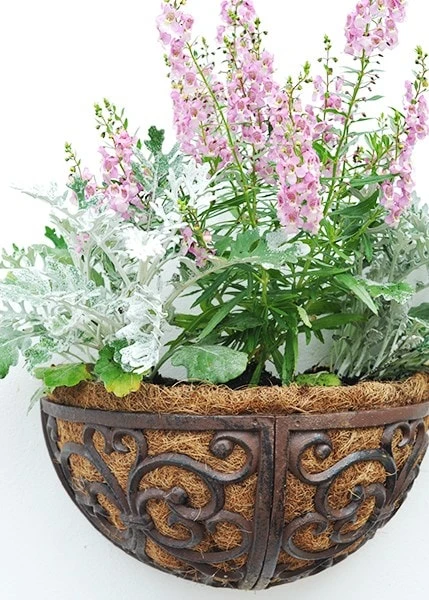 Cast Iron Wall Manger 5 Cast Iron Wall Manger - Image 3