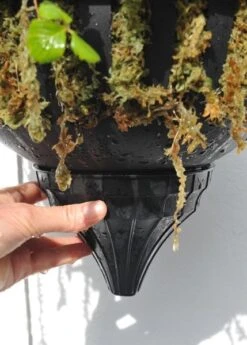 Pair Of Self-watering Hanging Baskets -Ever Bloom Gardens pr2000006136 card3 lg