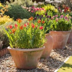 Lucca Terracotta Pot -Ever Bloom Gardens pr2000012805 card7 lg