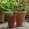 Empoli Terracotta Lily Pot -Ever Bloom Gardens pr2000012808