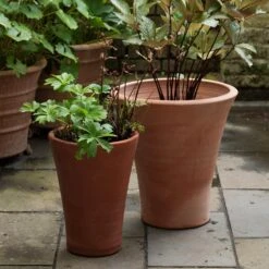 Empoli Terracotta Lily Pot -Ever Bloom Gardens pr2000012808 card2 lg