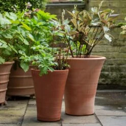 Empoli Terracotta Lily Pot -Ever Bloom Gardens pr2000012808 card5 lg