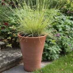 Empoli Terracotta Lily Pot -Ever Bloom Gardens pr2000012808 card7 lg