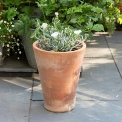 Empoli Terracotta Lily Pot -Ever Bloom Gardens pr2000012808 card8 lg