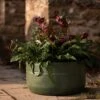 Verdigris Plant Bowl/drink Bucket -Ever Bloom Gardens pr2000016191