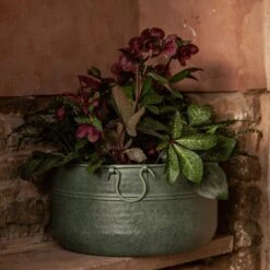 Verdigris Plant Bowl/drink Bucket -Ever Bloom Gardens pr2000016191 card4 lg