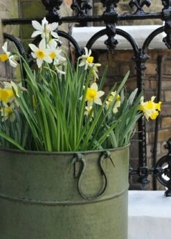 Verdigris Tall Metal Planter -Ever Bloom Gardens pr2000016192 card3 lg