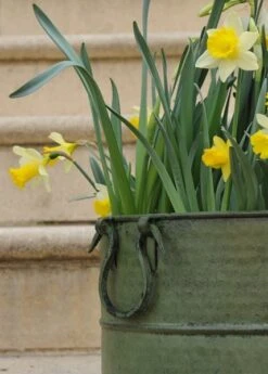 Verdigris Tall Metal Planter -Ever Bloom Gardens pr2000016192 card4 lg