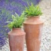 Terracotta Oil Pot -Ever Bloom Gardens pr2000016940
