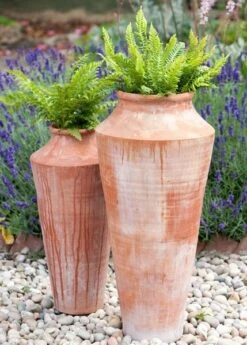Terracotta Oil Pot 11 Terracotta Oil Pot -Ever Bloom Gardens pr2000016940 card5 lg