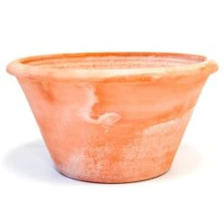 Terracotta Arc Pot -Ever Bloom Gardens pr2000016942 card10 lg