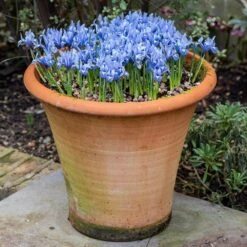 Terracotta Arc Pot -Ever Bloom Gardens pr2000016942 card6 lg