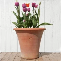 Terracotta Arc Pot -Ever Bloom Gardens pr2000016942 card8 lg