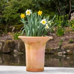 Terracotta Flared Rim Pot 19 Terracotta Flared Rim Pot -Ever Bloom Gardens pr2000017350 card9 lg