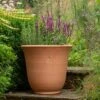 Terracotta Perennial Bell Pot -Ever Bloom Gardens pr2000017362