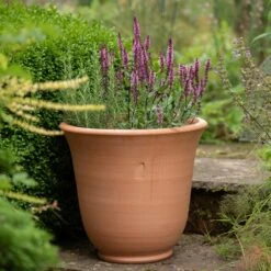 Terracotta Perennial Bell Pot 10 Terracotta Perennial Bell Pot -Ever Bloom Gardens pr2000017362 card3 lg