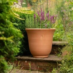 Terracotta Perennial Bell Pot 11 Terracotta Perennial Bell Pot -Ever Bloom Gardens pr2000017362 card4 lg