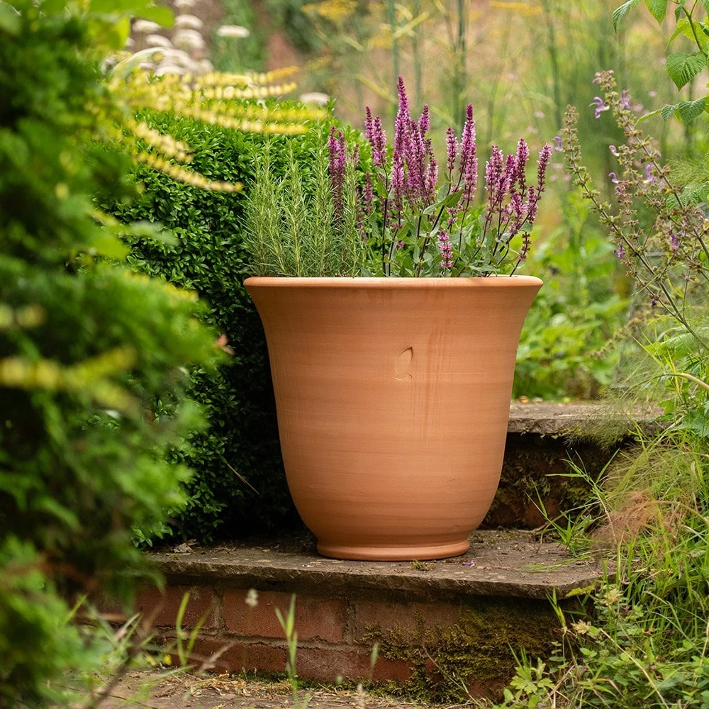 Terracotta Perennial Bell Pot 6 Terracotta Perennial Bell Pot - Image 4