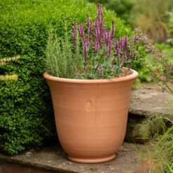 Terracotta Perennial Bell Pot 12 Terracotta Perennial Bell Pot -Ever Bloom Gardens pr2000017362 card5 lg