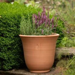 Terracotta Perennial Bell Pot 13 Terracotta Perennial Bell Pot -Ever Bloom Gardens pr2000017362 card6 lg