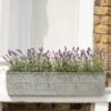 Embossed Galvanised Window Trough -Ever Bloom Gardens pr2000018441