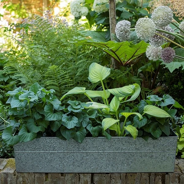 Embossed Galvanised Window Trough 5 Embossed Galvanised Window Trough - Image 3