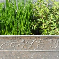 Embossed Galvanised Window Trough 16 Embossed Galvanised Window Trough -Ever Bloom Gardens pr2000018441 card6 lg