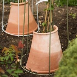 Clematis Root Protector -Ever Bloom Gardens pr2000020697 card2 lg