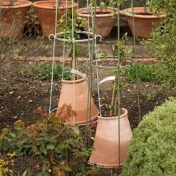 Clematis Root Protector -Ever Bloom Gardens pr2000020697 card3 lg