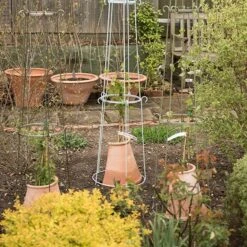 Clematis Root Protector -Ever Bloom Gardens pr2000020697 card4 lg