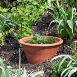 Terracotta Rimmed Grow Pot -Ever Bloom Gardens pr2000022763 card5 lg