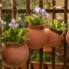 Terracotta Babylon Hanging Pot -Ever Bloom Gardens pr2000023695