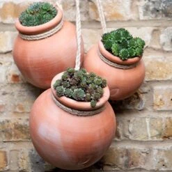 Terracotta Babylon Hanging Pot 13 Terracotta Babylon Hanging Pot -Ever Bloom Gardens pr2000023695 card4 lg