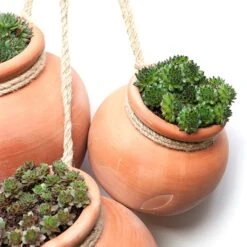 Terracotta Babylon Hanging Pot 14 Terracotta Babylon Hanging Pot -Ever Bloom Gardens pr2000023695 card5 lg