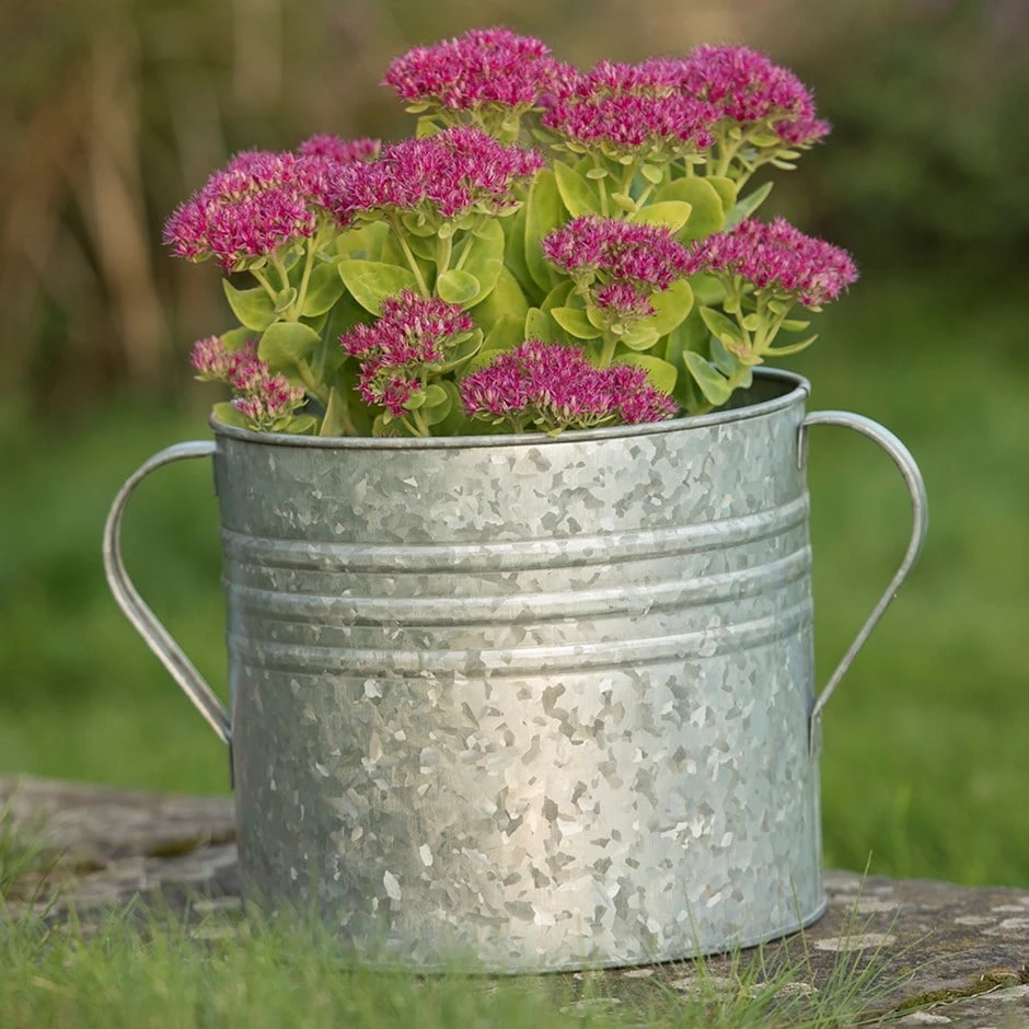 Galvanised Planter With Handles 3 Galvanised Planter With Handles